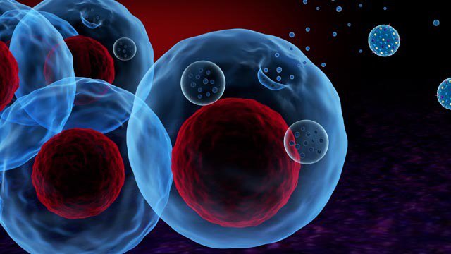 Exosome được hình thành khi các tế bào mạng nội thể, dung hợp với màng tế bào chất và được tiết ra bên ngoài tế bào.